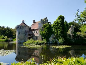 Photo by Steve Payne gray concrete building near green trees and body of water during daytime